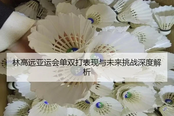 林高远亚运会单双打表现与未来挑战深度解析